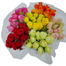 Rozen